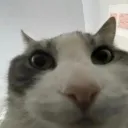 lois' nerd deep dive